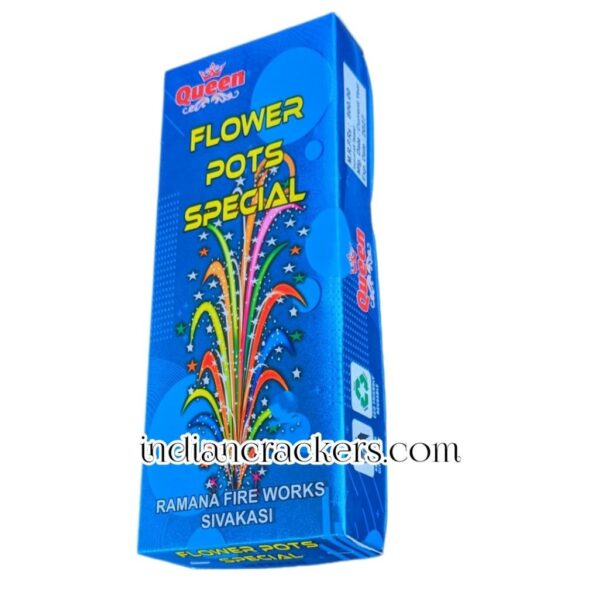 Flower Pots Special(10 Pcs)